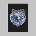 flag_finntroll-light-into-darkness